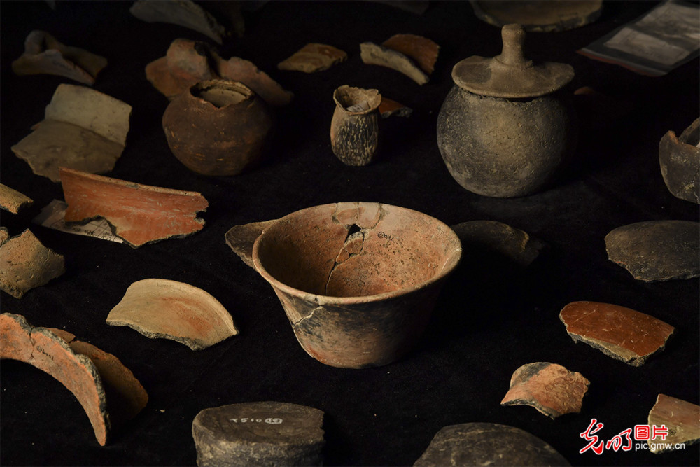 浙江省首个贝丘遗址发掘探秘