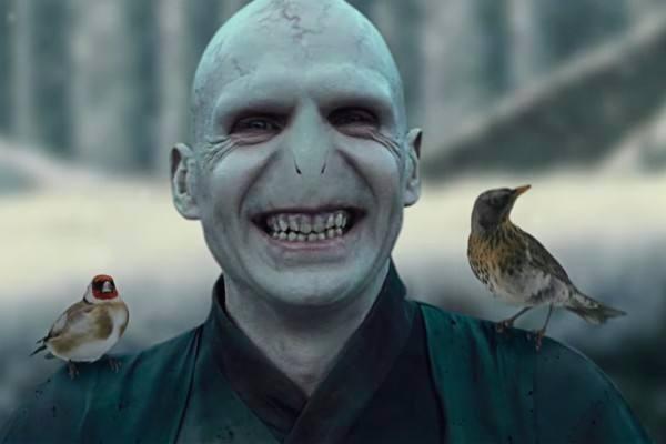 的粉丝,相信你也一定也对"那个连名字都不能提的人"——伏地魔(lord