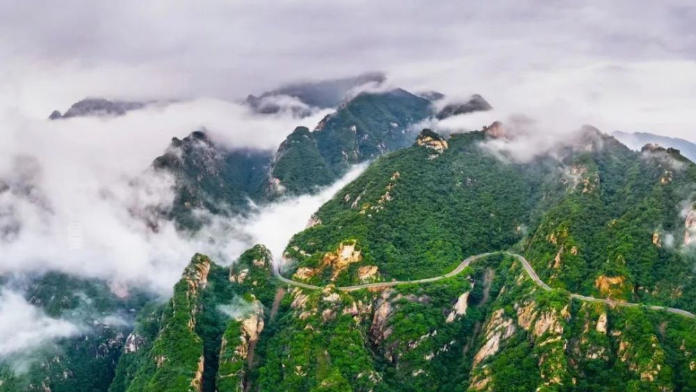 礼记·曲礼上|古人对1到108岁的称呼，娉娉袅袅十三余，豆蔻梢头二月初