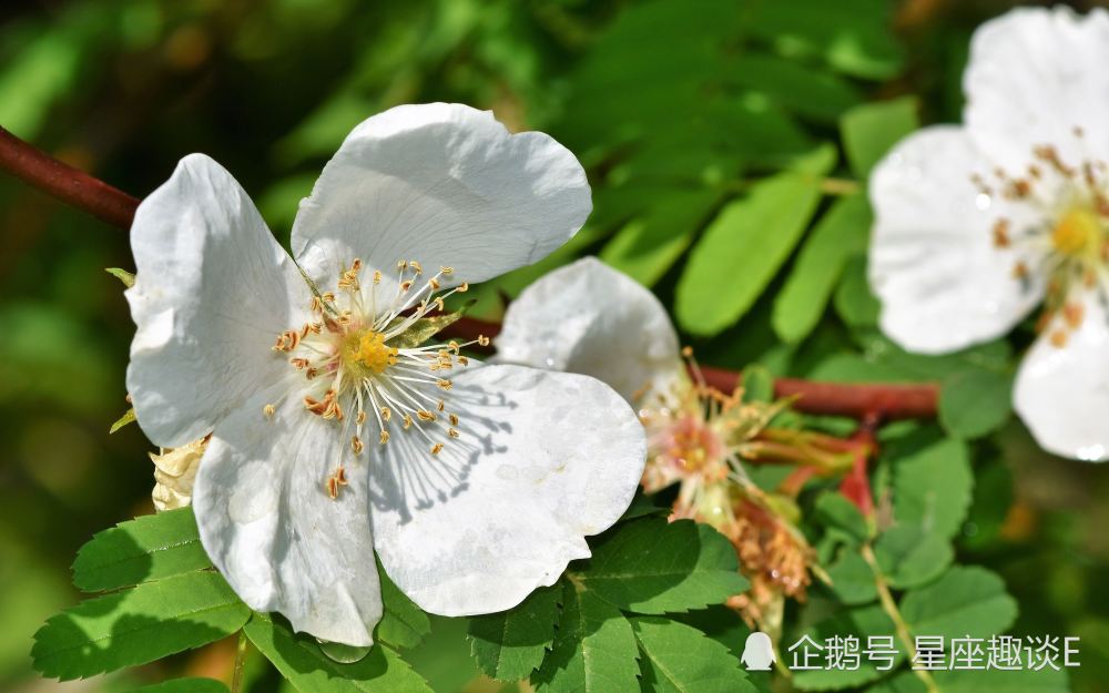 8月17日 23日星座运势 巨蟹贵人相助 天蝎齐心协力 水瓶迎接挑战 腾讯新闻