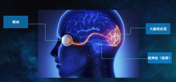 白内障术后视力未提高竟是因为脑瘤 警惕其它疾病干预视力_腾讯新闻