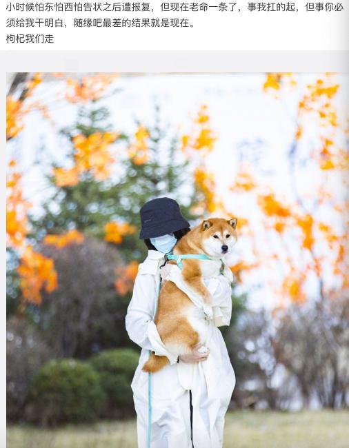 郑爽|郑爽新家装修被坑！自曝遭公司强制性收费，两年都未修完无奈维权