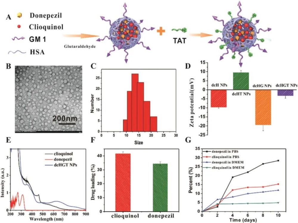 细胞|脑科学日报：母亲消极教养的影响；科学家眼中的长寿身材