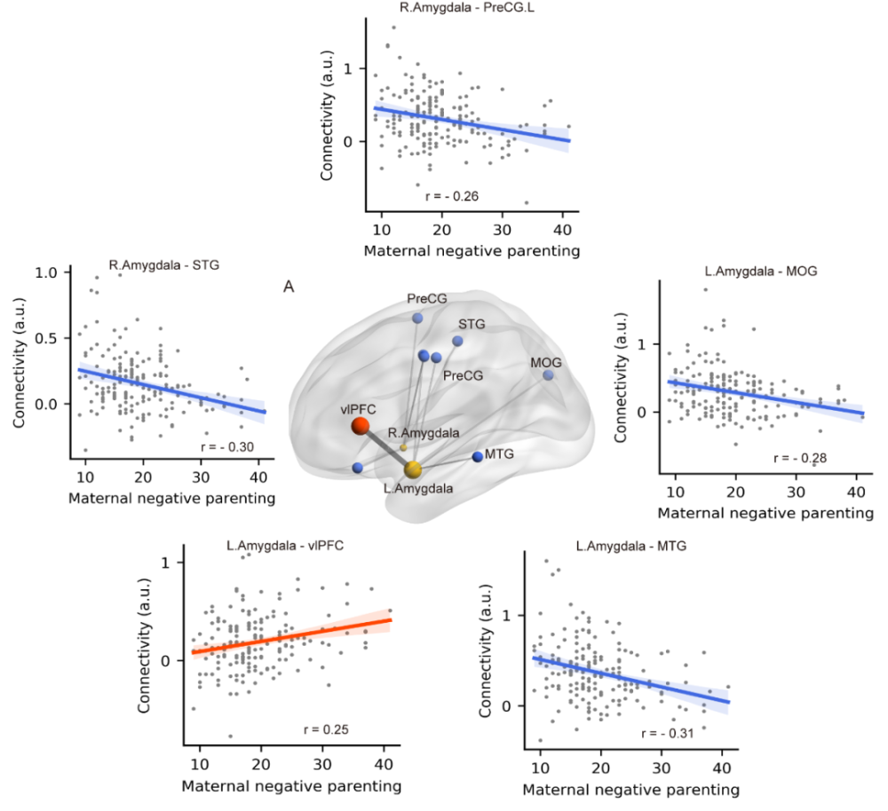细胞|脑科学日报：母亲消极教养的影响；科学家眼中的长寿身材