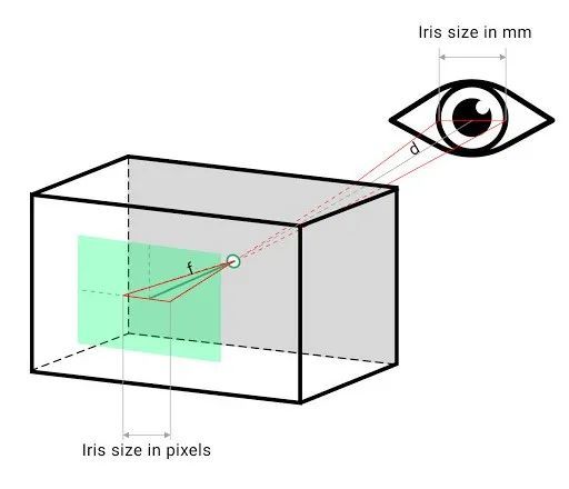 细胞|脑科学日报：母亲消极教养的影响；科学家眼中的长寿身材