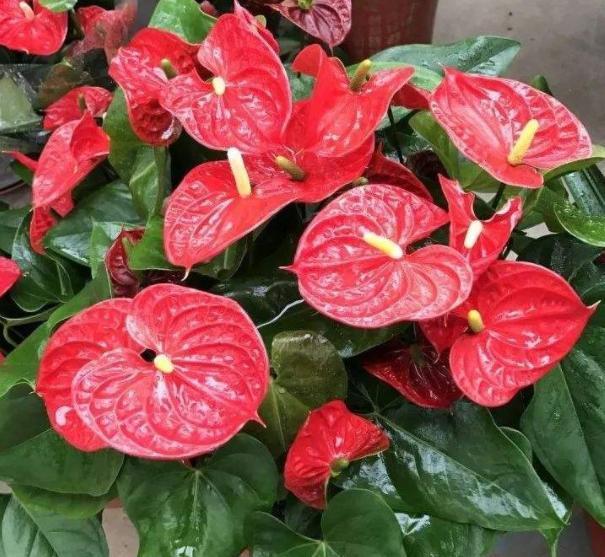 你的出生不好,日子过得一般,从小到大一直梦想着改变自己的一生,改变