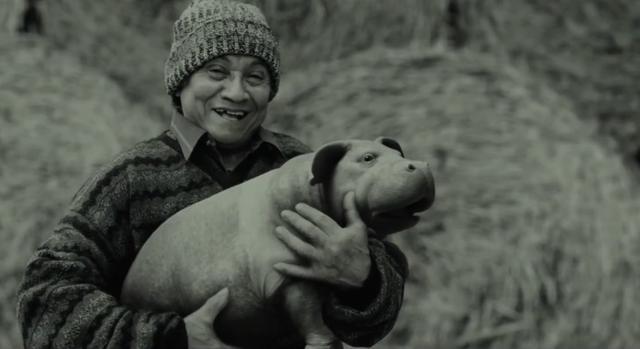 电影《玉子》:六吨重的大猪跑到街上乱闯,没人敢上前阻拦