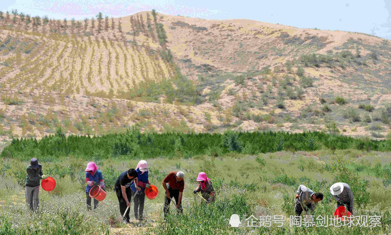 明朝|另一个角度看明朝城墙倒塌：全球变暖，西安气候或回归隋唐时代？