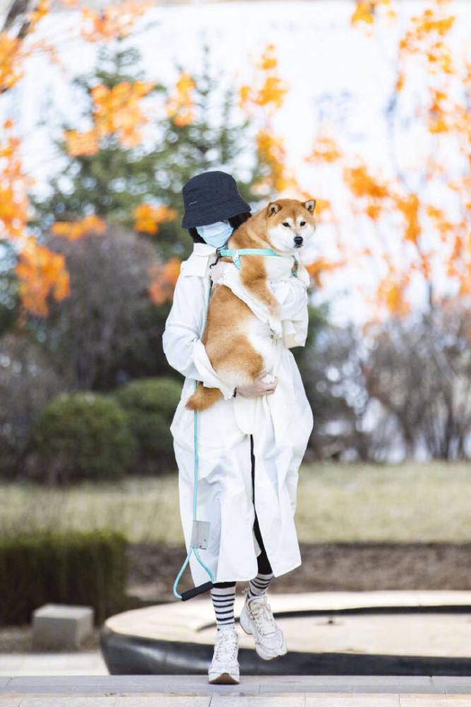 郑爽|郑爽疑似在上海买别墅，发文秒登热搜第一，自称老命一条，我扛得起