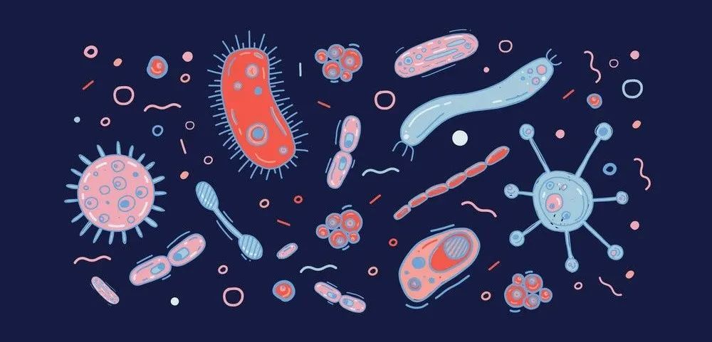 微生物组|Science公布微生物组大奖，三大成果值得关注