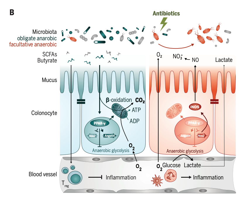 微生物组|Science公布微生物组大奖，三大成果值得关注