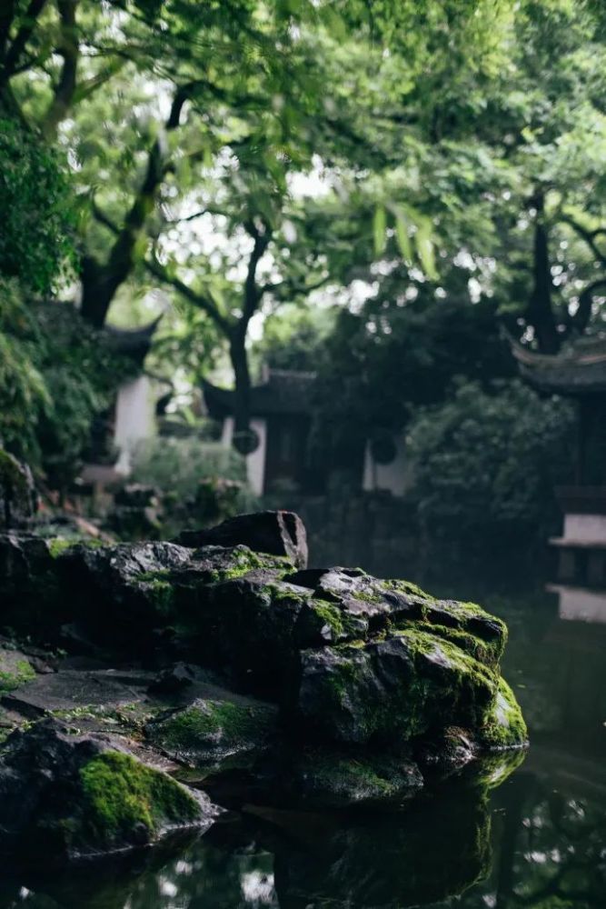 门板|乘凉，年轻人不知道的夏日乐趣