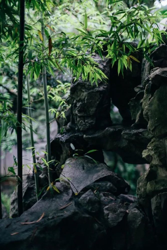 门板|乘凉，年轻人不知道的夏日乐趣