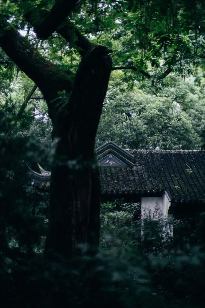 门板|乘凉，年轻人不知道的夏日乐趣