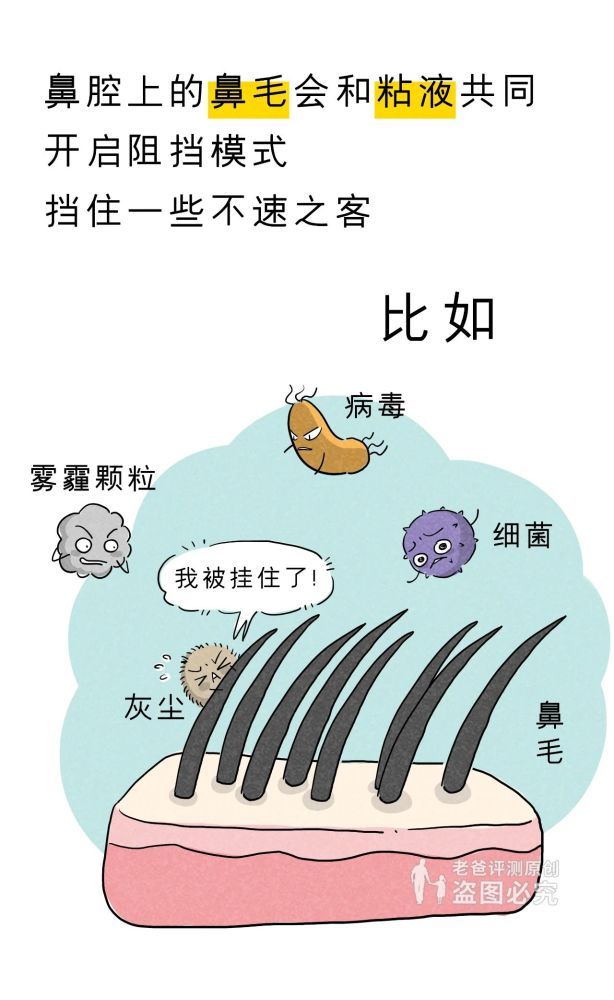 人民卫生出版社|鼻孔真的会越抠越大吗？