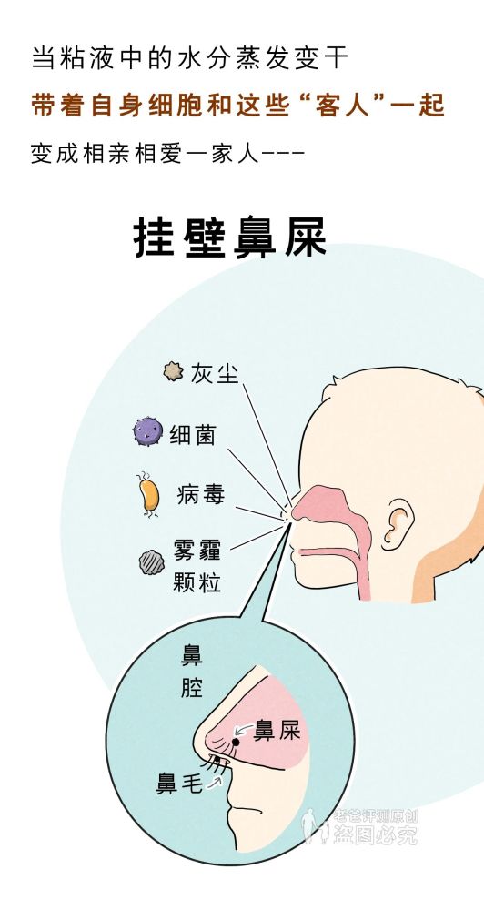 人民卫生出版社|鼻孔真的会越抠越大吗？
