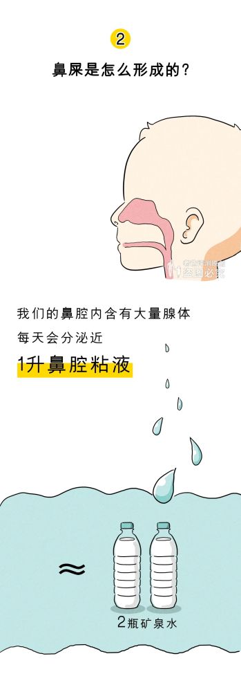 人民卫生出版社|鼻孔真的会越抠越大吗？