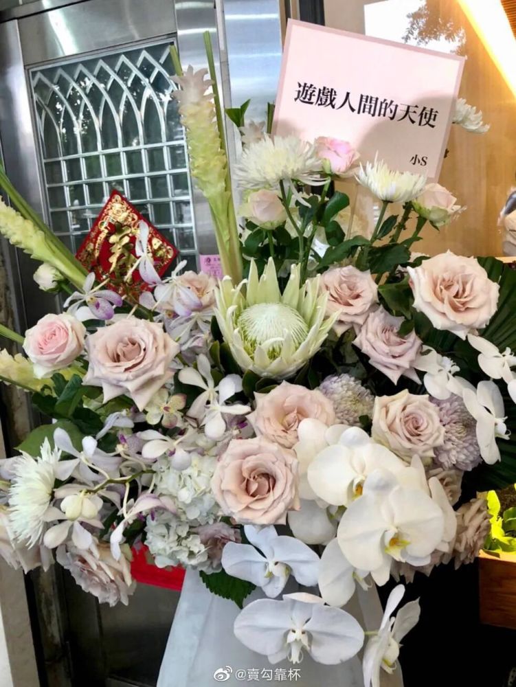 小s|《康熙来了》停播第四年：高以翔走了，小S不再快乐，我们都长大了……