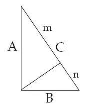 阿尔伯特·爱因斯坦|爱因斯坦的童年