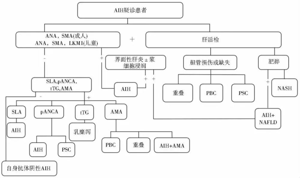 关于自身免疫性肝炎 你需要掌握这些 腾讯新闻