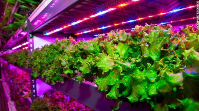 初创公司|挪威初创公司发明液态纳米粘土，能将沙漠在短短7小时变成耕地