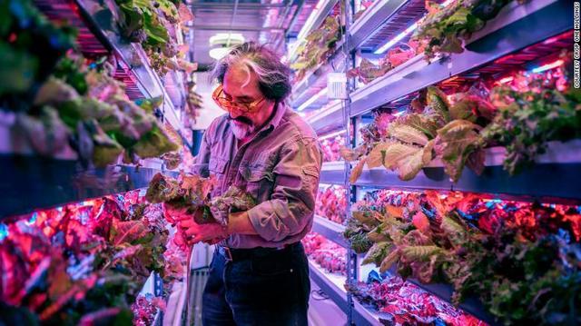 初创公司|挪威初创公司发明液态纳米粘土，能将沙漠在短短7小时变成耕地