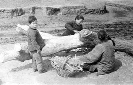 白岩松|白岩松鼓吹国人恢复“饥饿感”，网友愤怒：先从你家开始