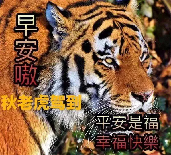 2021年最新最美的清晨秋天祝福语图片带字表情大全朋友圈秋天早上好