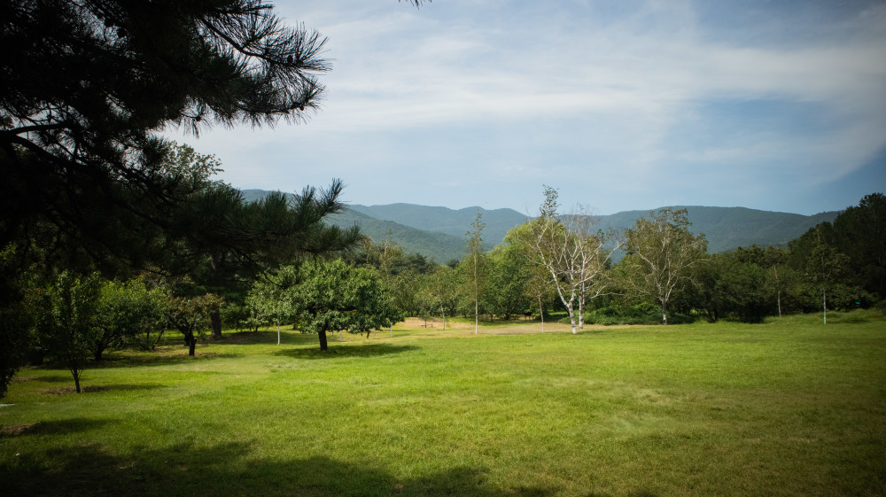 北京植物园|大雨过后，北京植物园蓄水2万吨，樱桃沟再现“宛平新八景”