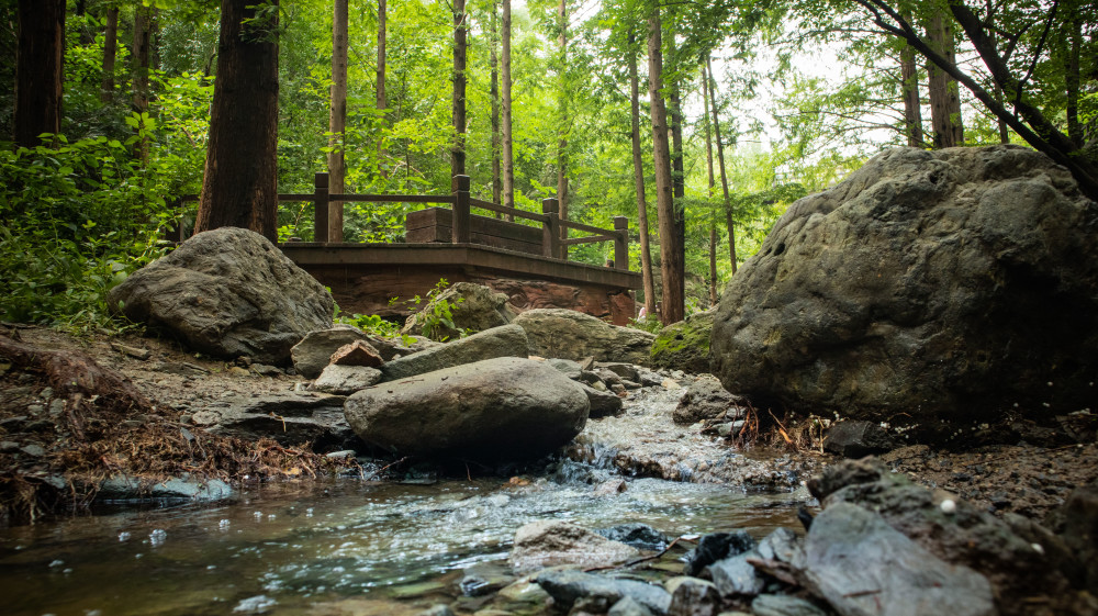 北京植物园|大雨过后，北京植物园蓄水2万吨，樱桃沟再现“宛平新八景”