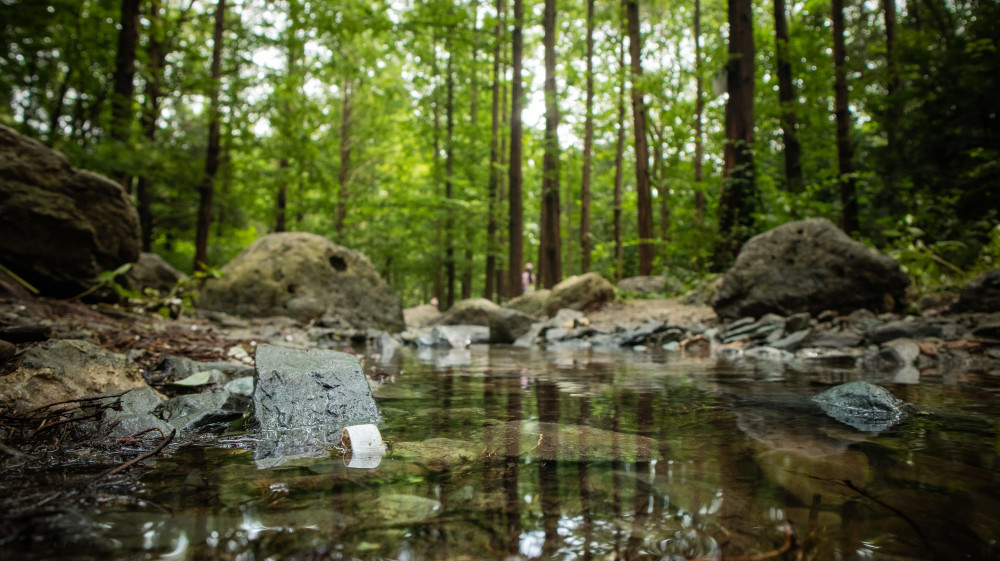 北京植物园|大雨过后，北京植物园蓄水2万吨，樱桃沟再现“宛平新八景”