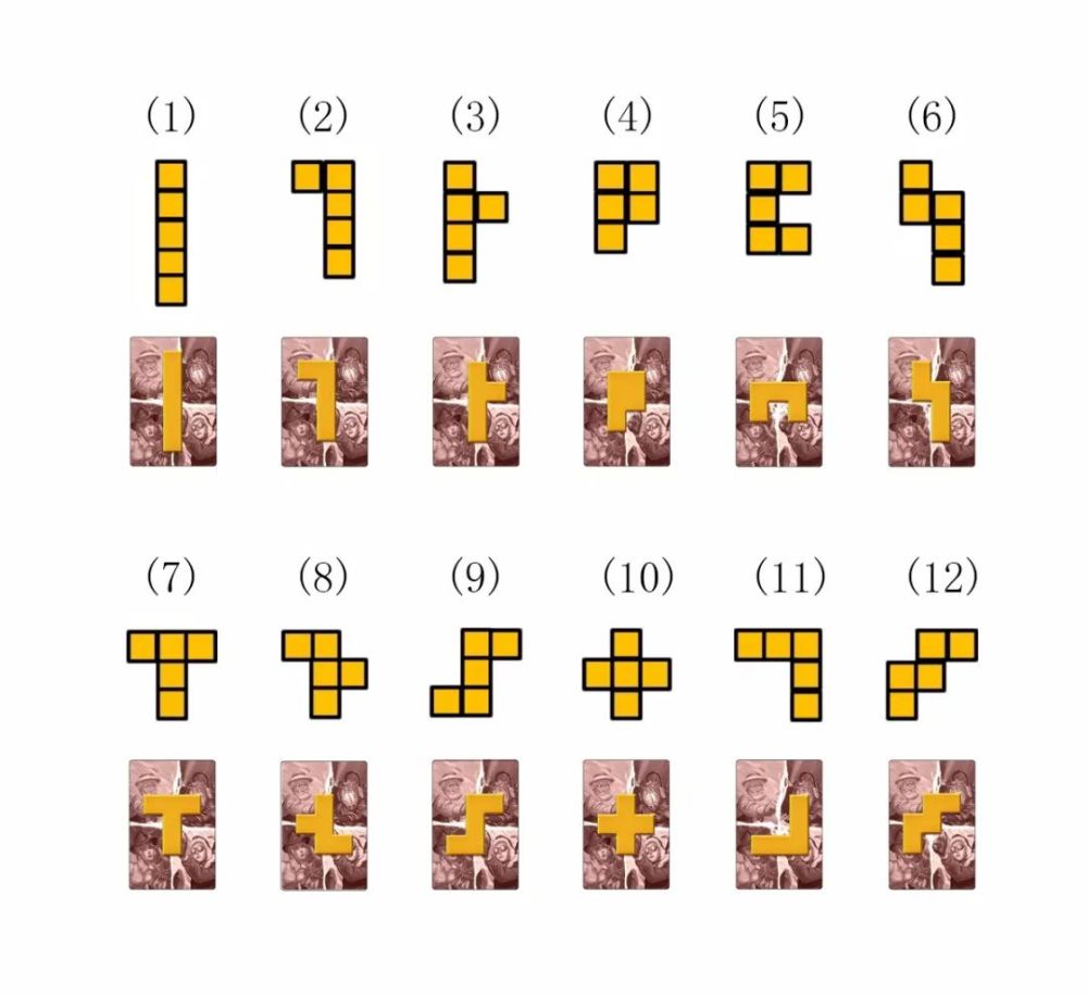 古埃及|古埃及考古之路，图腾里的圣甲虫隐藏何处？