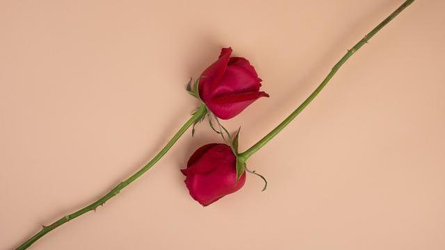 连菜刀都要AA的夫妻离婚了-WordPress极简博客