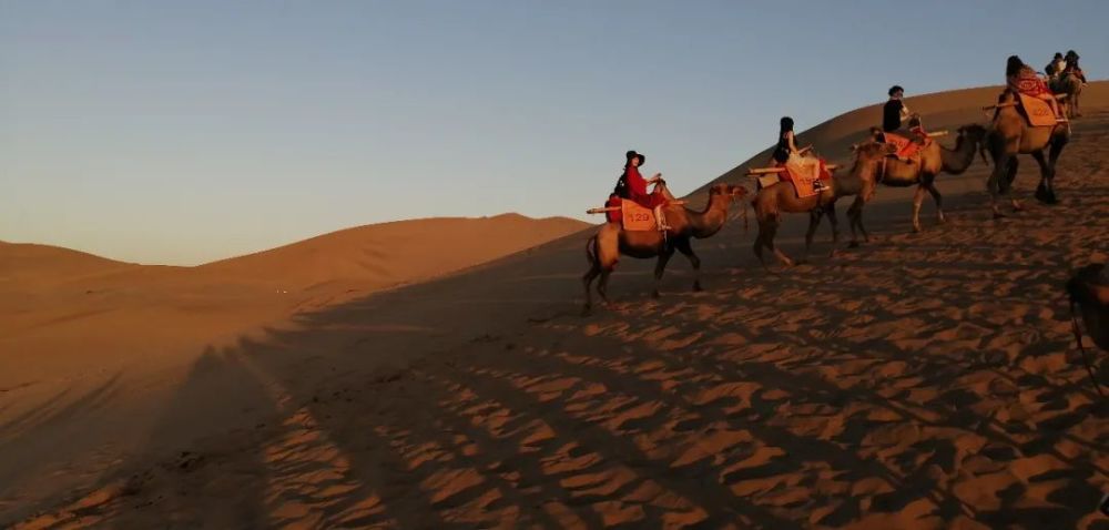 阮郎归·初夏|古人能把无聊变有趣，而我们只想没进手机中，像一尾鱼沉入水里
