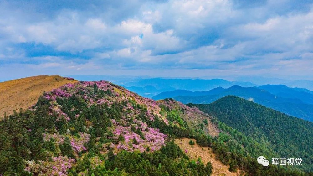 大姚百草岭沿108国道从永仁驱车北上,在距县城17公里的左侧,便是气势