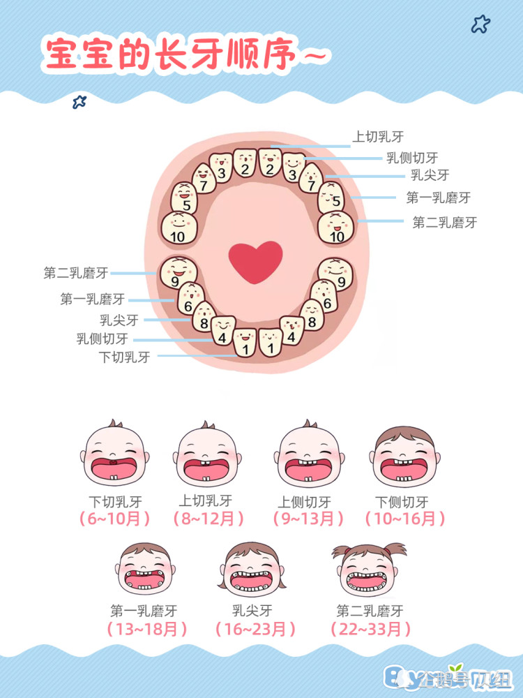 寶寶乳牙護理新手媽媽需謹記牙齒好才能有自信的笑容