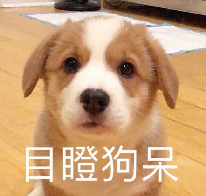 小動物賣萌表情包第二彈