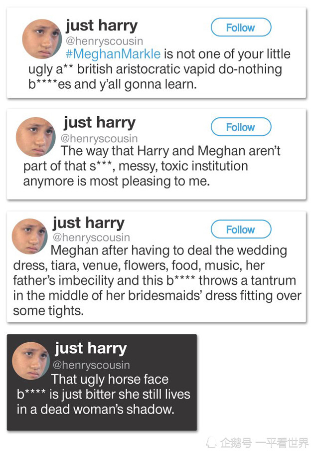 哈里梅根|哈里梅根给热心粉丝打电话表示感谢，该粉丝曾恶毒攻击威廉凯特