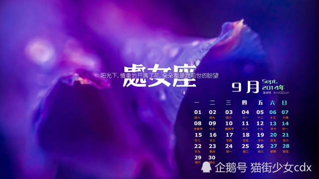 十二星座之处女座的一生 水瓶座 白羊座 巨蟹座 摩羯座 处女座 星座