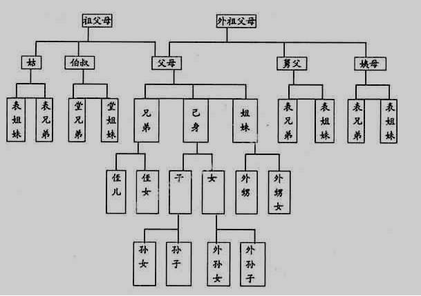 大宅门关系图谱图片