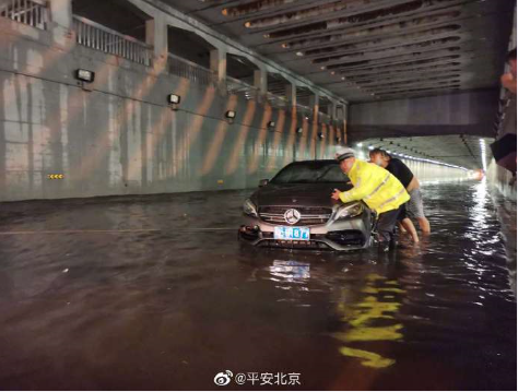 高空坠物|谨防高空坠物！无论坠猫坠盆坠自己……