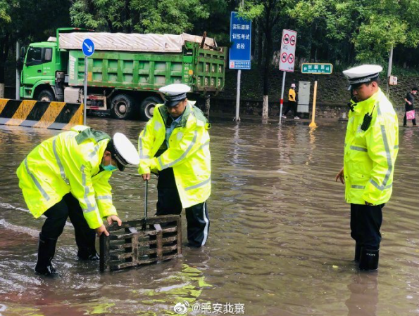 高空坠物|谨防高空坠物！无论坠猫坠盆坠自己……