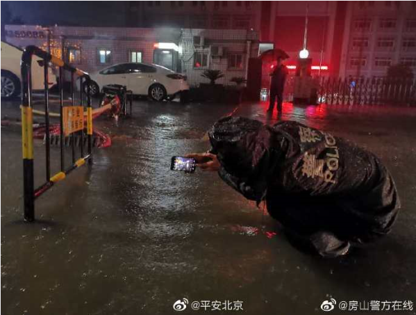 高空坠物|谨防高空坠物！无论坠猫坠盆坠自己……