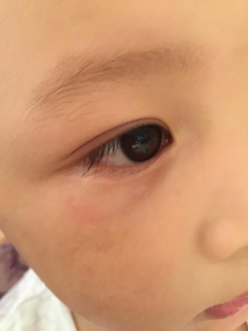 健脾开胃"冠军"已找到,不是地瓜,饭前后吃点,吸收好长高个!