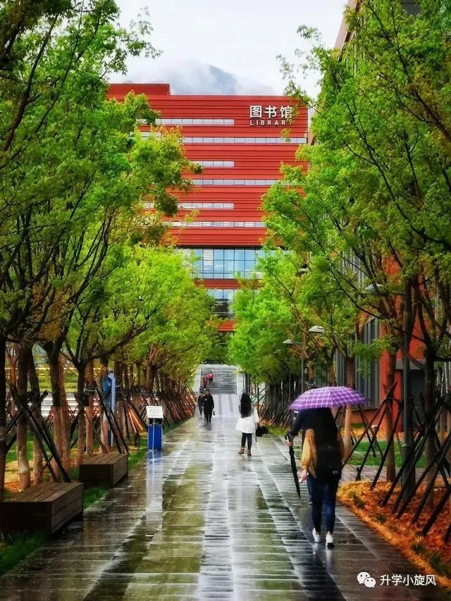 北京化工大学|北京化工大学2020招生计划与各省市各批次提档线