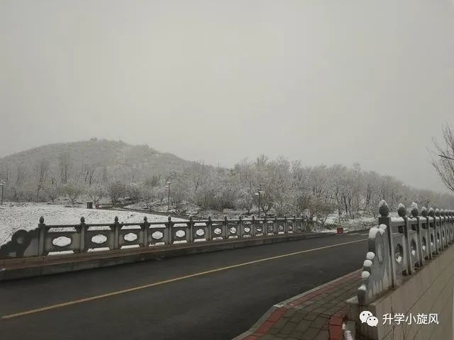 北京化工大学|北京化工大学2020招生计划与各省市各批次提档线