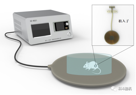 电刺激|重磅！国内首款动物商用无线无源电刺激系统，将广泛应用于脑科学