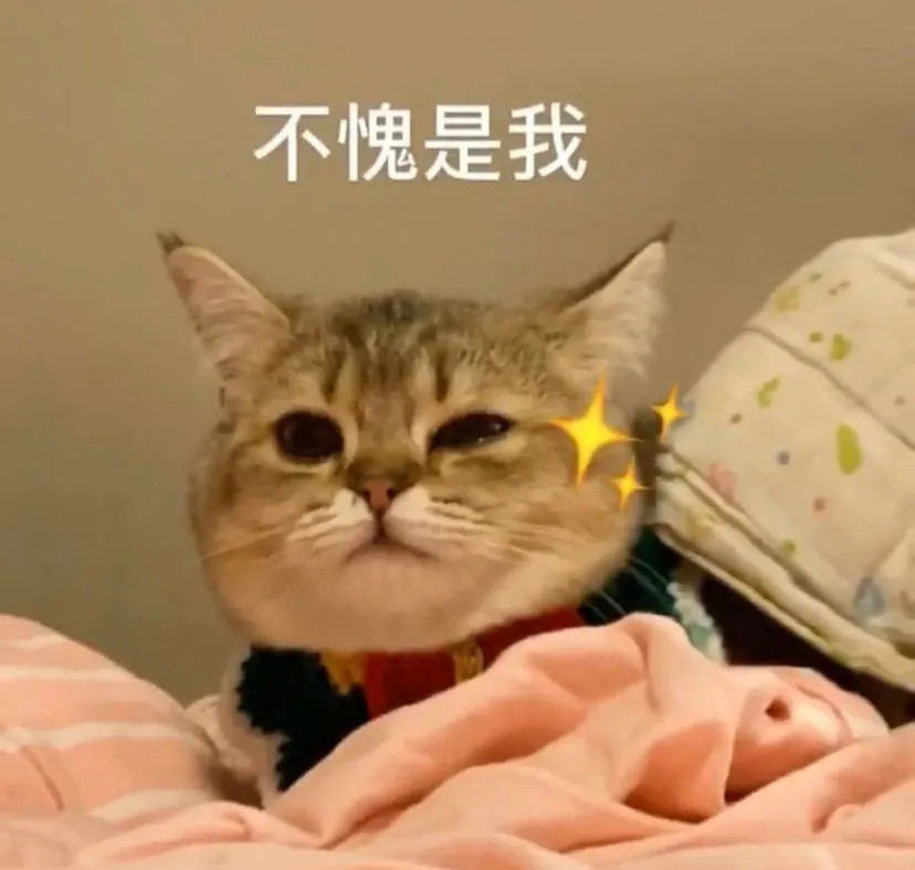 超级可爱的小猫咪表情包
