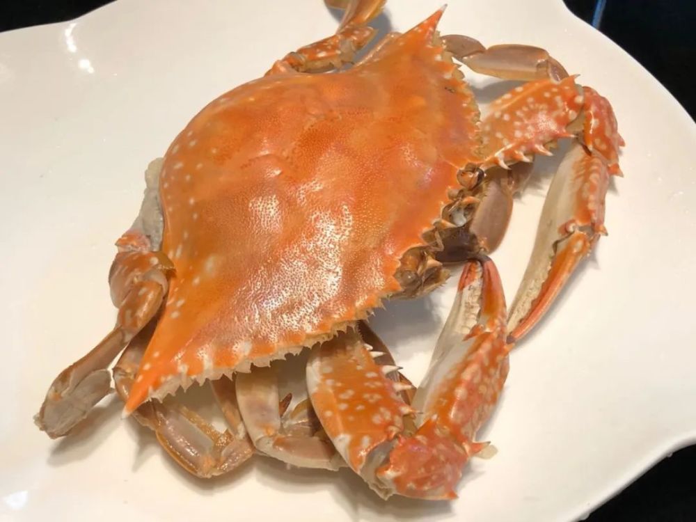 尝鲜:东海野生红膏蟹