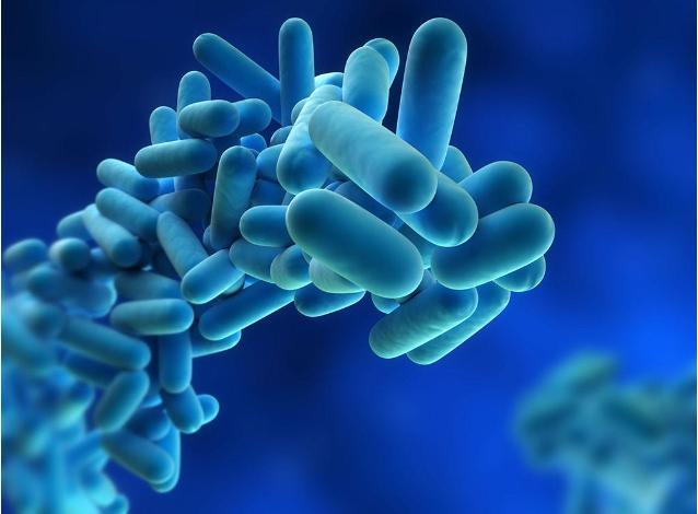 军团菌|美国人危难重重，军团菌病毒加持新冠，热浪卷来52.8摄氏度高温